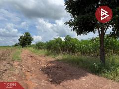 ขายที่ดิน เนื้อที่ 30 ไร่ 3 งาน 36 ตารางวา น้ำพี้ อุตรดิตถ์-202510061246231759729583312.jpg