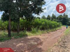 ขายที่ดิน เนื้อที่ 30 ไร่ 3 งาน 36 ตารางวา น้ำพี้ อุตรดิตถ์-202510061246231759729583845.jpg