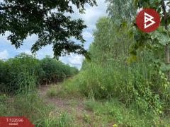 ขายที่ดิน เนื้อที่ 30 ไร่ 3 งาน 36 ตารางวา น้ำพี้ อุตรดิตถ์-202510061246241759729584376.jpg