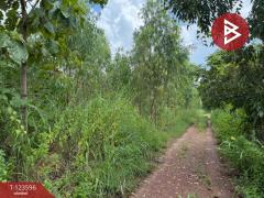 ขายที่ดิน เนื้อที่ 30 ไร่ 3 งาน 36 ตารางวา น้ำพี้ อุตรดิตถ์-202510061246241759729584901.jpg