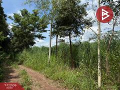 ขายที่ดิน เนื้อที่ 30 ไร่ 3 งาน 36 ตารางวา น้ำพี้ อุตรดิตถ์-202510061246251759729585436.jpg