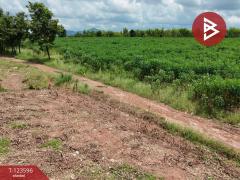 ขายที่ดิน เนื้อที่ 30 ไร่ 3 งาน 36 ตารางวา น้ำพี้ อุตรดิตถ์-202510061246251759729585967.jpg