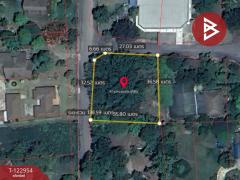 ขายที่ดิน เนื้อที่ 3 งาน 3 ตร.วา ปากช่อง นครราชสีมา-202510061431561759735916033.jpg