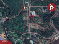 ขายที่ดิน เนื้อที่ 3 งาน 3 ตร.วา ปากช่อง นครราชสีมา-202510061431561759735916578.jpg