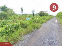 ขายที่ดิน เนื้อที่ 120 ตารางวา องครักษ์ นครนายก