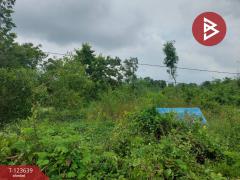 ขายที่ดิน เนื้อที่ 120 ตารางวา องครักษ์ นครนายก-202510061432331759735953135.jpg