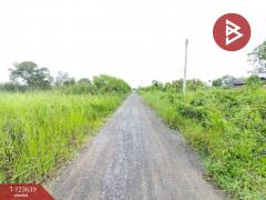 ขายที่ดิน เนื้อที่ 120 ตารางวา องครักษ์ นครนายก-202510061432341759735954192.jpg