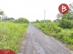 ขายที่ดิน เนื้อที่ 120 ตารางวา องครักษ์ นครนายก-202510061432351759735955769.jpg