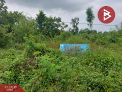 ขายที่ดิน เนื้อที่ 120 ตารางวา องครักษ์ นครนายก-202510061432361759735956298.jpg