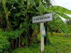 ขายที่ดินทำเลดี ใกล้ที่ทำการผู้ใหญ่บ้านหมู่ 8 ตำบลห้วยน้ำหอม อำเภอลาดยาว จังหวัดนครสวรรค์-202510061454491759737289106.jpg