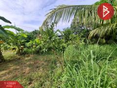 ขายที่ดินพร้อมสวนผสม เนื้อที่ 2 งาน 89 ตารางวา ต.คลองจุกกระเฌอ ฉะเชิงเทรา-202510061627031759742823453.jpg