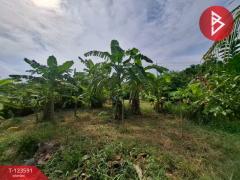 ขายที่ดินพร้อมสวนผสม เนื้อที่ 2 งาน 89 ตารางวา ต.คลองจุกกระเฌอ ฉะเชิงเทรา-202510061627031759742823949.jpg