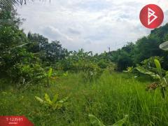 ขายที่ดินพร้อมสวนผสม เนื้อที่ 2 งาน 89 ตารางวา ต.คลองจุกกระเฌอ ฉะเชิงเทรา-202510061627041759742824910.jpg