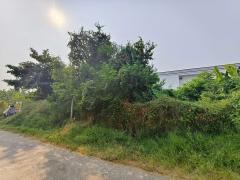 ที่ดิน 139 ตรว. ประชาอุทิศ 88 ทุ่งครุ กทม.-202510062234241759764864828.jpeg