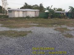 ขายที่ดินเปล่าพื้นที่สีม่วงลาย ในนิคมเอเชียมาบตาพุด ระยอง -202510070930381759804238120.jpg