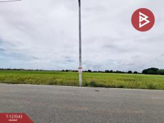 ขายที่ดิน เนื้อที่ 4 ไร่ 27 ตารางวา อ.บ้านโพธิ์ ฉะเชิงเทรา ทำเลดี