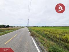 ขายที่ดิน เนื้อที่ 4 ไร่ 27 ตารางวา อ.บ้านโพธิ์ ฉะเชิงเทรา ทำเลดี-202510071022551759807375925.jpg