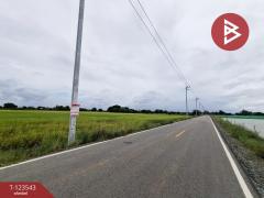 ขายที่ดิน เนื้อที่ 4 ไร่ 27 ตารางวา อ.บ้านโพธิ์ ฉะเชิงเทรา ทำเลดี-202510071022561759807376669.jpg