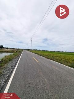 ขายที่ดิน เนื้อที่ 4 ไร่ 27 ตารางวา อ.บ้านโพธิ์ ฉะเชิงเทรา ทำเลดี-202510071022571759807377262.jpg