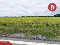 ขายที่ดิน เนื้อที่ 4 ไร่ 27 ตารางวา อ.บ้านโพธิ์ ฉะเชิงเทรา ทำเลดี-202510071022571759807377781.jpg