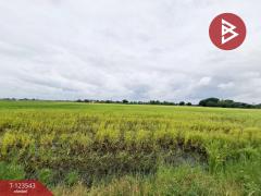 ขายที่ดิน เนื้อที่ 4 ไร่ 27 ตารางวา อ.บ้านโพธิ์ ฉะเชิงเทรา ทำเลดี-202510071022581759807378312.jpg