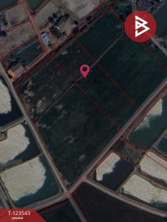 ขายที่ดิน เนื้อที่ 4 ไร่ 27 ตารางวา อ.บ้านโพธิ์ ฉะเชิงเทรา ทำเลดี-202510071022591759807379419.jpg