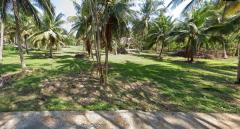 ขายที่ดินสวนมะพร้าว 6 ไร่ แถมบ้าน!! ต.กุยบุรี อ.กุยบุรี จ.ประจวบคีรีขันธ์-202510071037401759808260050.jpg