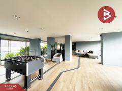 ขายคอนโดมิเนียม ลุมพินี พาร์ค วิภาวดี-จตุจักร (Lumpini Park Vibhavadi-Chatuchak) กรุงเทพมหานคร-202510071038501759808330526.jpg