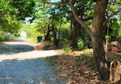 ขายที่ดิน พร้อมสิ่งปลูกสร้าง ถนนประชาราษฎร์สาย 1 ซอย 10 บางซื่อ กรุงเทพมหานคร-202510071039441759808384309.jpg