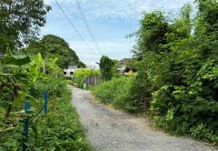 ขายที่ดิน พร้อมสิ่งปลูกสร้าง ถนนประชาราษฎร์สาย 1 ซอย 10 บางซื่อ กรุงเทพมหานคร-202510071039441759808384793.jpg