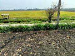 ขายที่ดินสวยถมแล้ว 209 ตรว. พร้อมโฉนด ทำเลดี เดินทางสะดวก บ้านท้ายลาด ลพบุรี ( เจ้าของขายเอง )-202510071114081759810448155.jpg