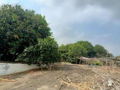 ขายที่ดินสวยถมแล้ว 209 ตรว. พร้อมโฉนด ทำเลดี เดินทางสะดวก บ้านท้ายลาด ลพบุรี ( เจ้าของขายเอง )-202510071114081759810448658.jpg