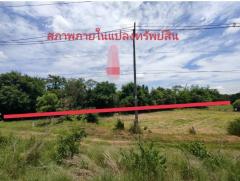 ขายที่ดินว่างเปล่ามือสอง       อำเภอบรบือ  มหาสารคาม