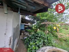 ขายบ้านเดี่ยวติดถนน เนื้อที่ 66.5 ตร.วา คลองจุกกระเฌอ ฉะเชิงเทรา-202510071154251759812865659.jpg