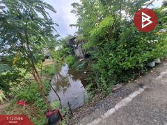 ขายบ้านเดี่ยวติดถนน เนื้อที่ 66.5 ตร.วา คลองจุกกระเฌอ ฉะเชิงเทรา-202510071154261759812866182.jpg