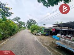 ขายบ้านเดี่ยวติดถนน เนื้อที่ 66.5 ตร.วา คลองจุกกระเฌอ ฉะเชิงเทรา-202510071154261759812866715.jpg