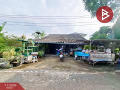 ขายบ้านเดี่ยวติดถนน เนื้อที่ 66.5 ตร.วา คลองจุกกระเฌอ ฉะเชิงเทรา-202510071154281759812868825.jpg