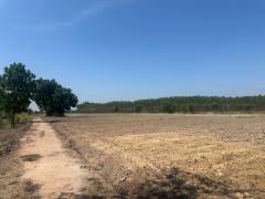 ขายที่ดิน 11 ไร่ 2 งาน 39 ตารางวา ตำบลยะวึก อำเภอชุมพลบุรี จังหวัดสุรินทร์  ที่ตั้ง : 2081 ตำบลยะวึก อำเภอชุมพลบุรี จังหวัดสุรินทร์ 32190 https://maps.app.goo.gl/hQ2QEvZDroiT5fcr7?g_st=al  ขนาดที่ดิน : 11 ไร่ 2 งาน 39 ตารางวา  รายละเอียด ขาย 10 ไร่ ห-202510071155351759812935761.jpg