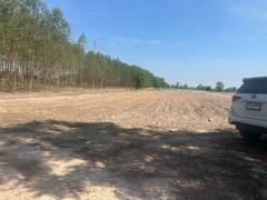 ขายที่ดิน 11 ไร่ 2 งาน 39 ตารางวา ตำบลยะวึก อำเภอชุมพลบุรี จังหวัดสุรินทร์  ที่ตั้ง : 2081 ตำบลยะวึก อำเภอชุมพลบุรี จังหวัดสุรินทร์ 32190 https://maps.app.goo.gl/hQ2QEvZDroiT5fcr7?g_st=al  ขนาดที่ดิน : 11 ไร่ 2 งาน 39 ตารางวา  รายละเอียด ขาย 10 ไร่ ห-202510071155391759812939097.jpg