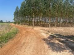 ขายที่ดิน 11 ไร่ 2 งาน 39 ตารางวา ตำบลยะวึก อำเภอชุมพลบุรี จังหวัดสุรินทร์  ที่ตั้ง : 2081 ตำบลยะวึก อำเภอชุมพลบุรี จังหวัดสุรินทร์ 32190 https://maps.app.goo.gl/hQ2QEvZDroiT5fcr7?g_st=al  ขนาดที่ดิน : 11 ไร่ 2 งาน 39 ตารางวา  รายละเอียด ขาย 10 ไร่ ห-202510071155431759812943308.jpg