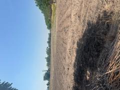 ขายที่ดิน 11 ไร่ 2 งาน 39 ตารางวา ตำบลยะวึก อำเภอชุมพลบุรี จังหวัดสุรินทร์  ที่ตั้ง : 2081 ตำบลยะวึก อำเภอชุมพลบุรี จังหวัดสุรินทร์ 32190 https://maps.app.goo.gl/hQ2QEvZDroiT5fcr7?g_st=al  ขนาดที่ดิน : 11 ไร่ 2 งาน 39 ตารางวา  รายละเอียด ขาย 10 ไร่ ห-202510071155591759812959739.jpg