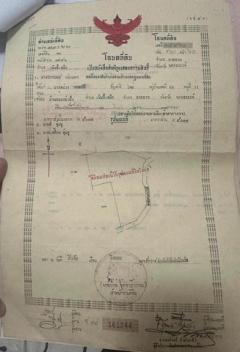 ขายที่ดิน 11 ไร่ 2 งาน 39 ตารางวา ตำบลยะวึก อำเภอชุมพลบุรี จังหวัดสุรินทร์  ที่ตั้ง : 2081 ตำบลยะวึก อำเภอชุมพลบุรี จังหวัดสุรินทร์ 32190 https://maps.app.goo.gl/hQ2QEvZDroiT5fcr7?g_st=al  ขนาดที่ดิน : 11 ไร่ 2 งาน 39 ตารางวา  รายละเอียด ขาย 10 ไร่ ห-202510071156081759812968149.jpg