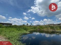 ขายที่ดิน ซ.กองพนันพล เนื้อที่ 2 ไร่ บางน้ำจืด สมุทรสาคร-202510071221031759814463381.jpg