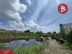 ขายที่ดิน ซ.กองพนันพล เนื้อที่ 2 ไร่ บางน้ำจืด สมุทรสาคร-202510071221031759814463930.jpg