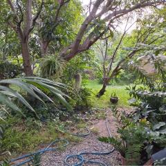 ขายที่ดินแปลงสวย หมู่บ้านปัญญาเลคโฮม ถนนนิมิตใหม่-202510071253081759816388541.jpg