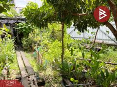 ขายที่ดิน เนื้อที่ 49.5 ตร.วา หลักสอง บางแค ภาษีเจริญ กรุงเทพมหานคร-202510071254331759816473245.jpg