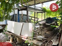 ขายที่ดิน เนื้อที่ 49.5 ตร.วา หลักสอง บางแค ภาษีเจริญ กรุงเทพมหานคร-202510071254331759816473775.jpg