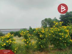 ขายที่ดินสวย เนื้อที่ 4 ไร่ 2 งาน 20 ตารางวา นครปฐม ทำเลดี-202510071355221759820122826.jpg