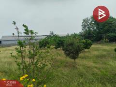 ขายที่ดินสวย เนื้อที่ 4 ไร่ 2 งาน 20 ตารางวา นครปฐม ทำเลดี-202510071355231759820123355.jpg