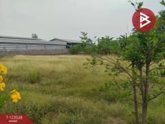 ขายที่ดินสวย เนื้อที่ 4 ไร่ 2 งาน 20 ตารางวา นครปฐม ทำเลดี-202510071355251759820125613.jpg